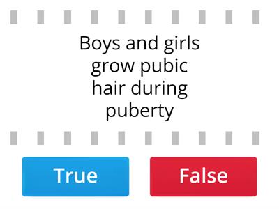 Puberty true or false KS3