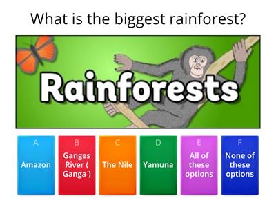 Geography Project Quiz 1 - Rainforests