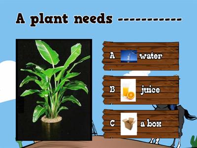 Plant needs