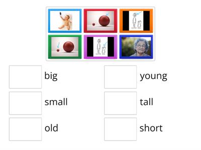 Adjectives; small, big, young