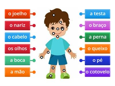 PME1 Partes do corpo