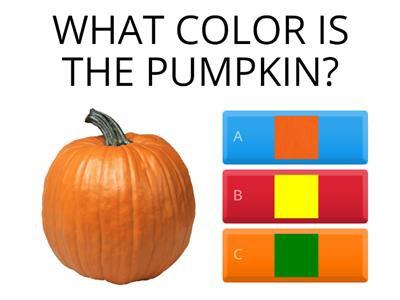 Color Identification_Quiz