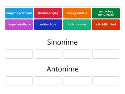 Sinonime și Antonime - Resurse Didactice