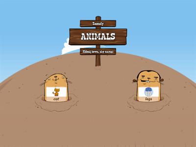 Animals - preschool