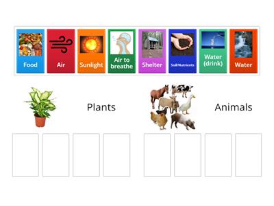 BES-Plant and Animal Needs