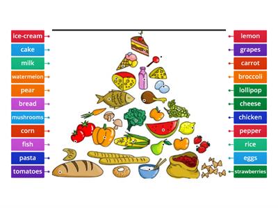 7.B Food Pyramid