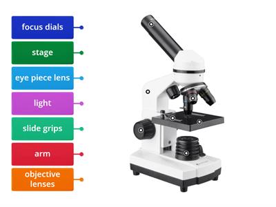 Microscope parts (S3)