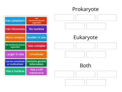 Prokaryotic vs. Eukaryotic