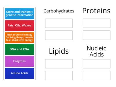 Macromolecules short