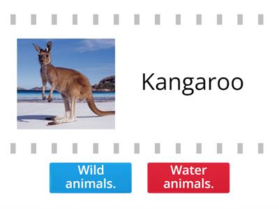 Sort the animals  - Wild or water animals?
