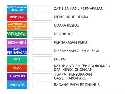 SISTEM PERNAPASAN