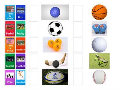 Jocuri Sportive  - Asociaza obiectul cu sportul in care este folosit!