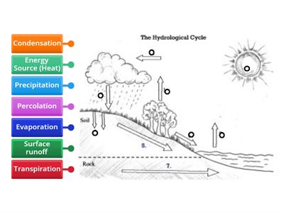 Water Cycle  to Label_Envi Sci