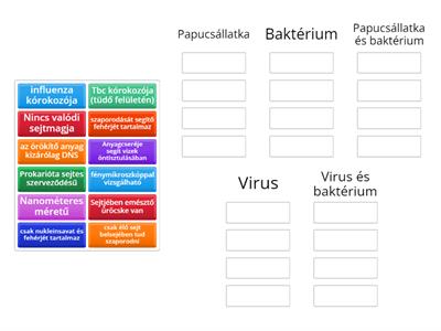 Papucsállatka, baktérium, virus