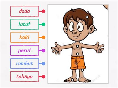 Parts of the Body (Malay)
