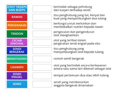 6.2 FUNGSI SENDI DAN OTOT MANUSIA