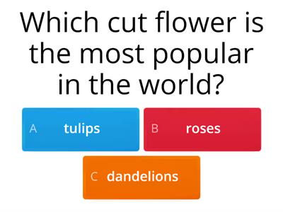 FLOWERS QUIZ