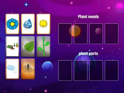 Sort plant needs & plant parts