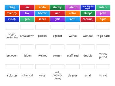 Word Parts #7: Bacteria, Virus and the Immune Response
