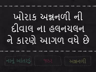 મનુષ્ય નું પાચનતંત્ર 