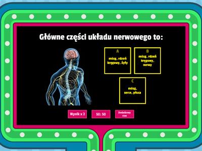układ nerwowy Klasa 4