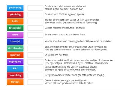 Växter - ord & begrepp