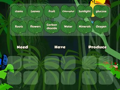 Plants- Need, Have and produce