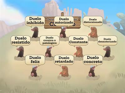 Tipos de duelo 