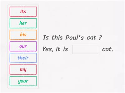 Adjectifs possessifs