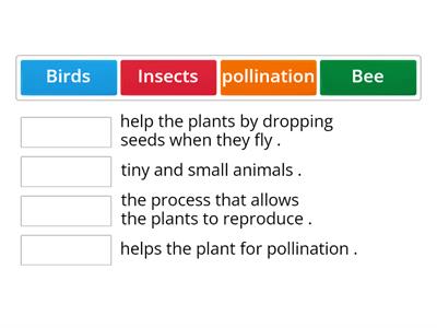 Seed dispersal by animals 