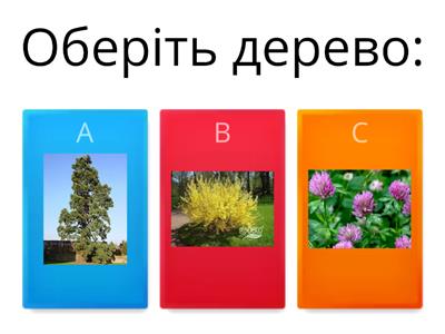 Я досліджую дерева, кущі, трав'янисті рослини