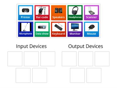 Input and Output Devices