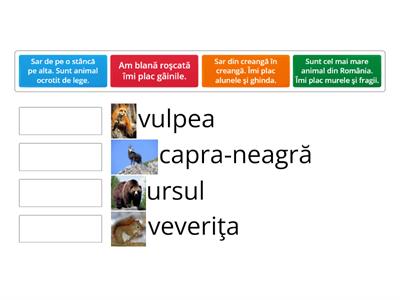 Cum sunt animalele? (Descrierea animalelor)