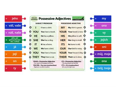 Kid's Box 3 - Possessive adjectives