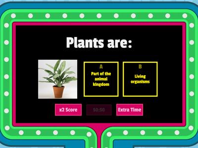 Photosynthesis and Plant classification quiz