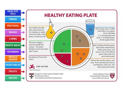 Healthy Eating Plate - CLASSI APERTE