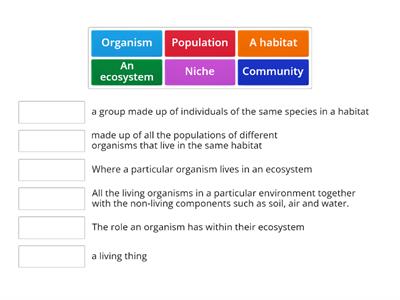 Ecosystem - Teaching resources