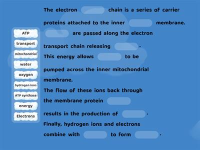 Electron Transport Chain Missing Word Summary Higher Biology Unit 2 KA 2