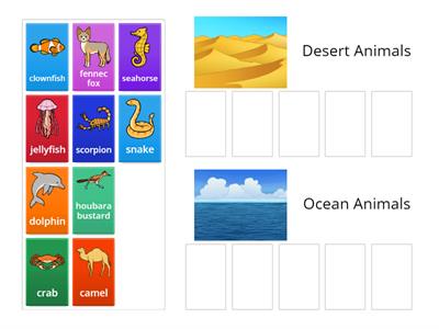Desert & Ocean Animals - Sorting Game