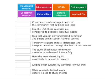 Cultural Bias: Key Terms