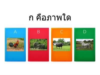 ภาษาไทย-ปฐมวัย