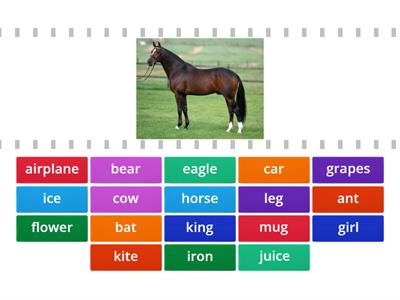 English Alphabet A - M