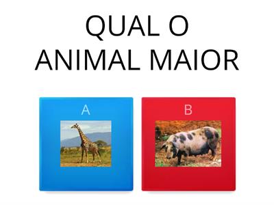 ANIMAL MAIOR E MENOR