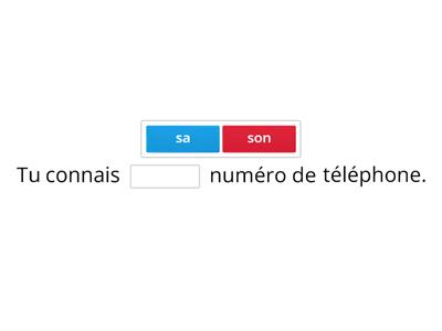 Adjectifs possessifs