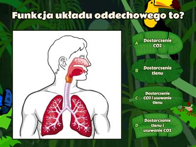 Układ oddechowy klasa 7 biologia 