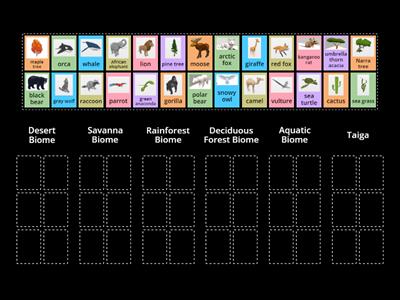 Animal Sorting Activity