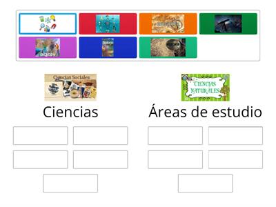 Relaciona las Áreas de estudios con sus ciencias correspondientes