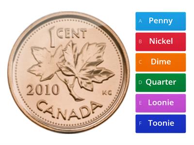Canadian Money (Coins & Bills)
