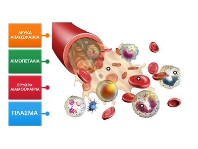 ΤΑ ΣΥΣΤΑΤΙΚΑ ΤΟΥ ΑΙΜΑΤΟΣ