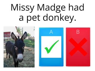Missy Madge quiz
